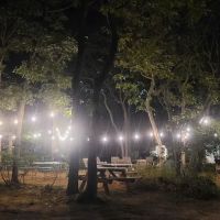 Martha's Vineyard Family Campground ico