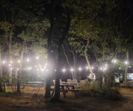 Martha's Vineyard Family Campground