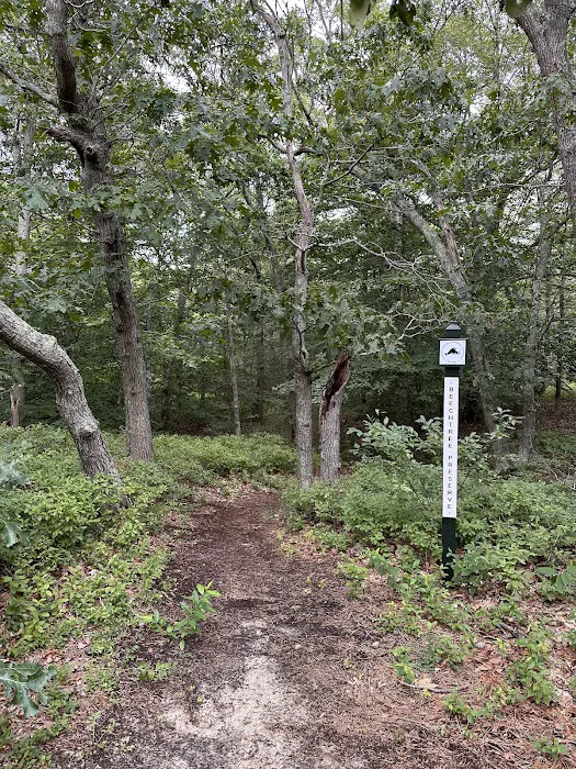 Martha's Vineyard Family Campground Picture 5