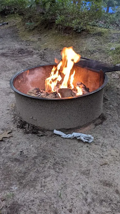 Martha's Vineyard Family Campground Picture 7