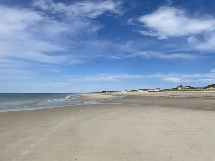 Sandy Neck Camp Sites Picture 1