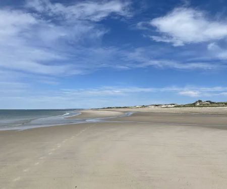 Sandy Neck Camp Sites
