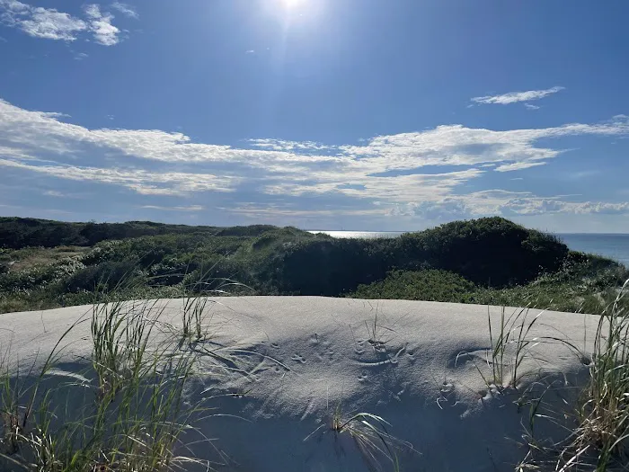 Sandy Neck Camp Sites Picture 5