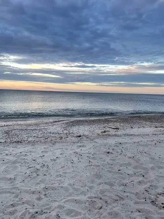 Sandy Neck Camp Sites Picture 6