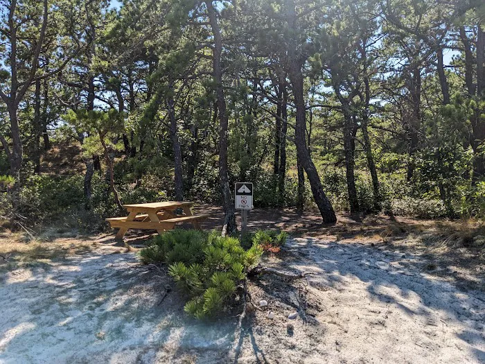 Sandy Neck Camp Sites Picture 8
