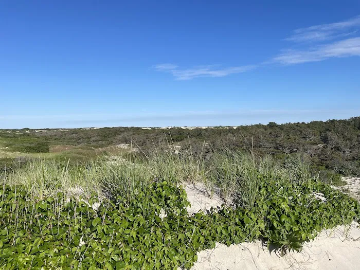 Sandy Neck Camp Sites Picture 7