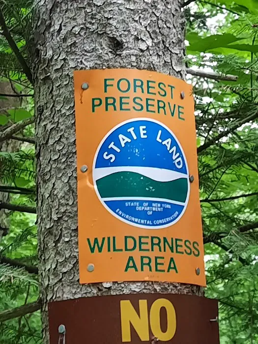 Cabin in the Woods Picture 3