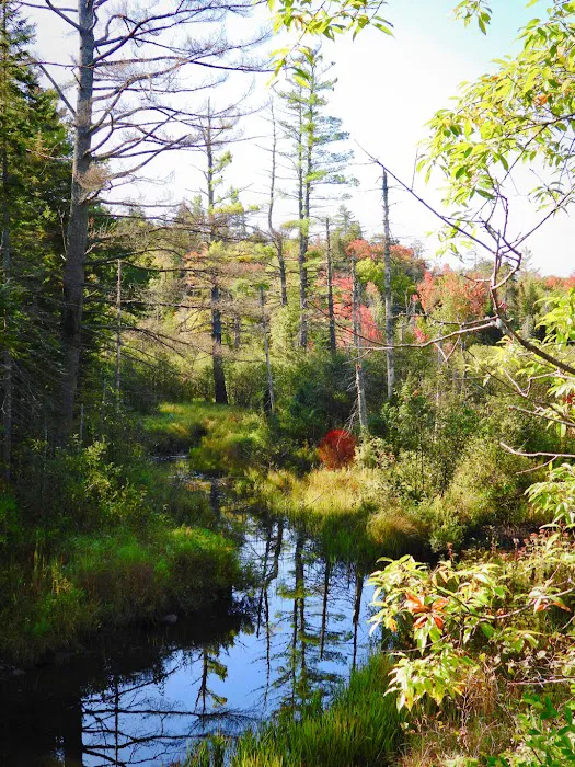 Cabin in the Woods Picture 8