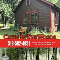 Cabin in the Woods ico