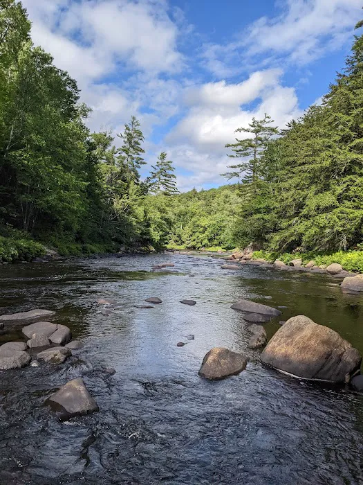 Wilderness Campsite Picture 1