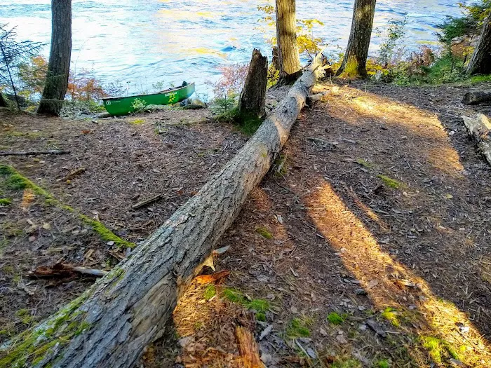 Wilderness Campsite Picture 7