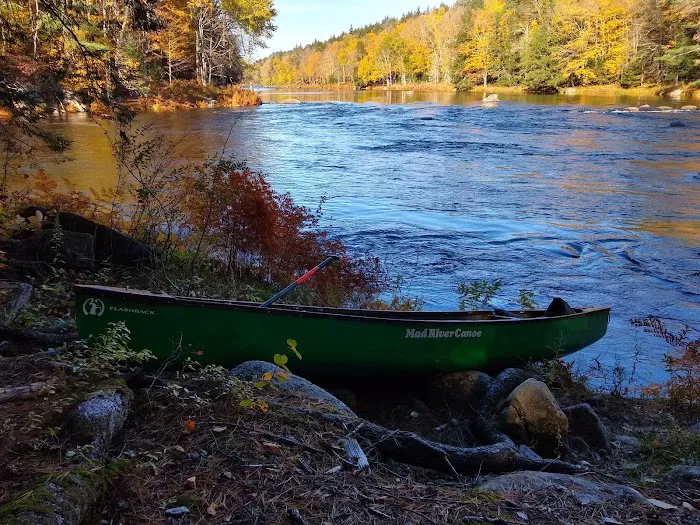 Wilderness Campsite Picture 9