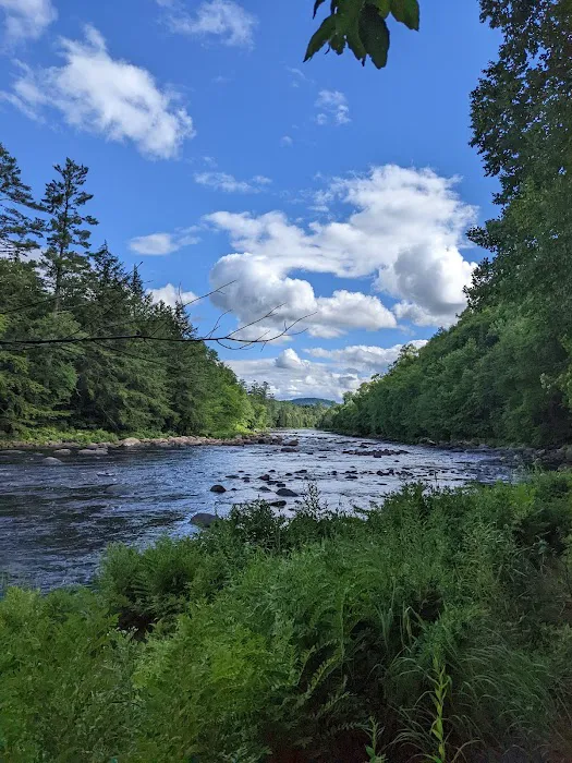 Wilderness Campsite Picture 8