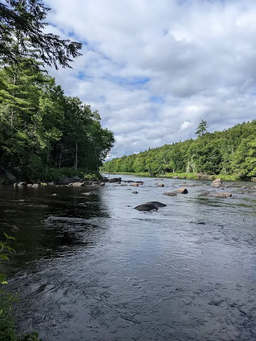 Wilderness Campsite Picture 5