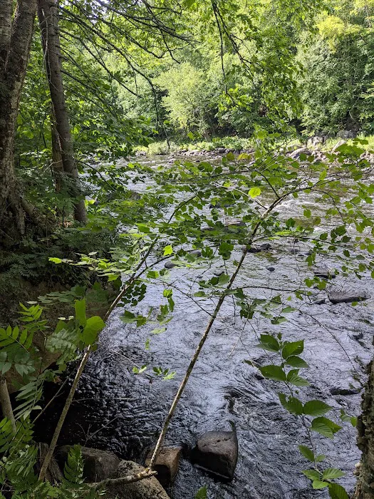 Wilderness Campsite Picture 10