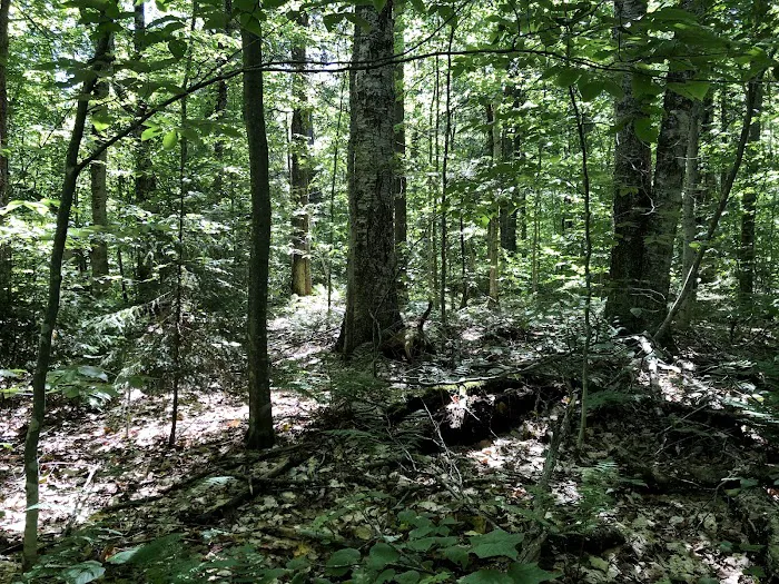 Lake Durant State Campground Picture 8