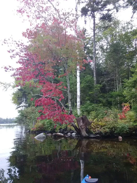 Lake Durant Campground Picture 3