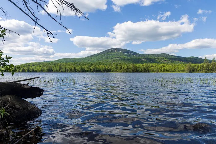 Lake Durant Campground Picture 7