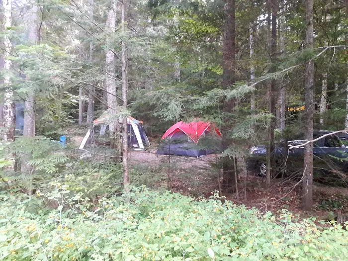 Lake Durant Campground Picture 6