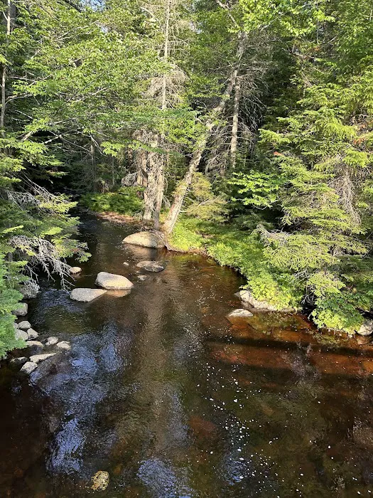 Lake Durant Campground Picture 10