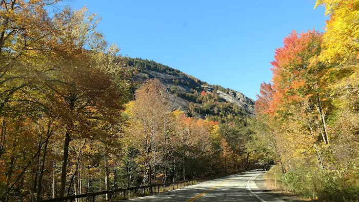 Taylor Pond Campground Picture 5