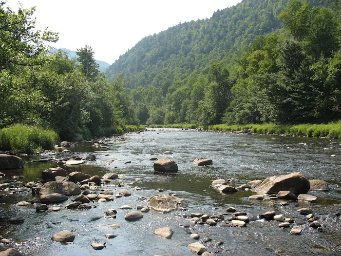 Taylor Pond Campground Picture 9