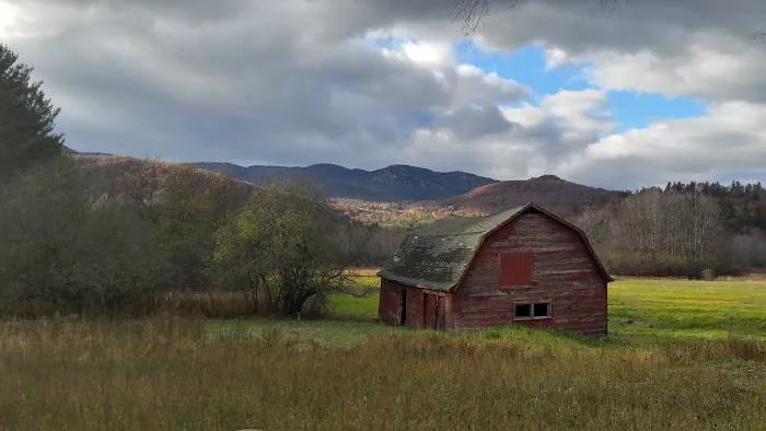 Taylor Pond Campground Picture 3