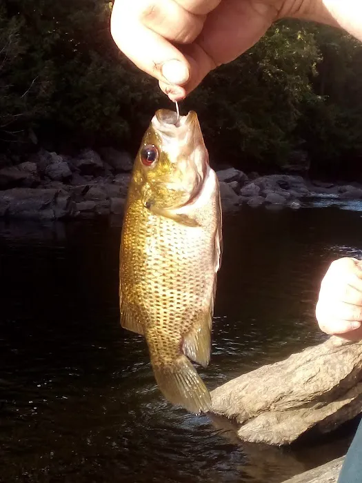 Mc Intyre's Campsite Picture 4