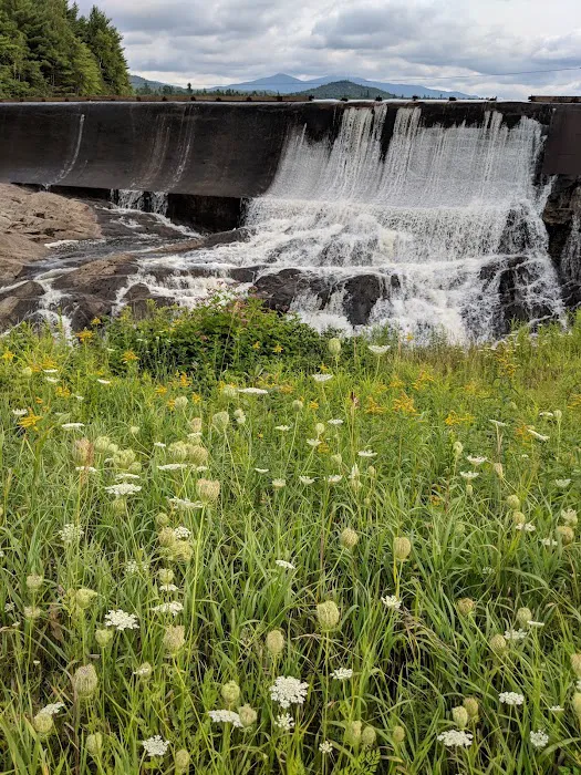 Mc Intyre's Campsite Picture 10