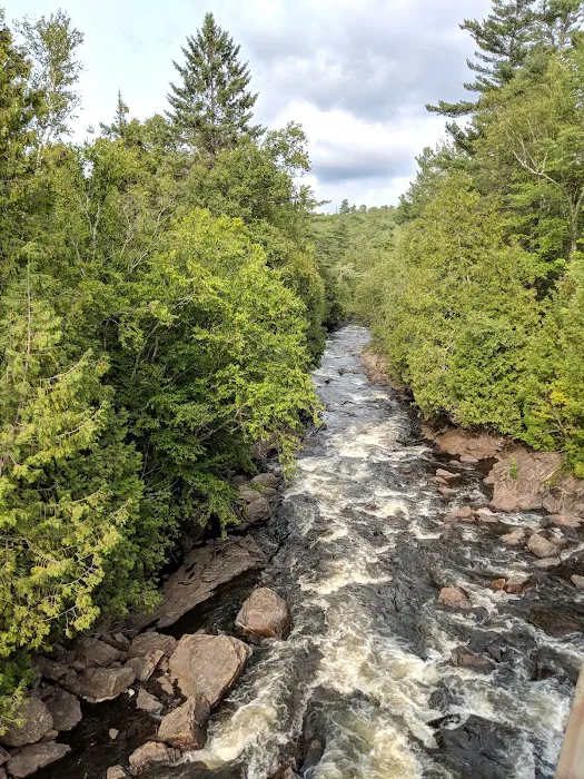 Mc Intyre's Campsite Picture 9