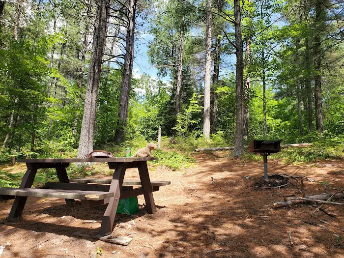 Buck Pond Campground Picture 5