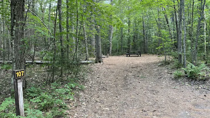 Buck Pond Campground Picture 7