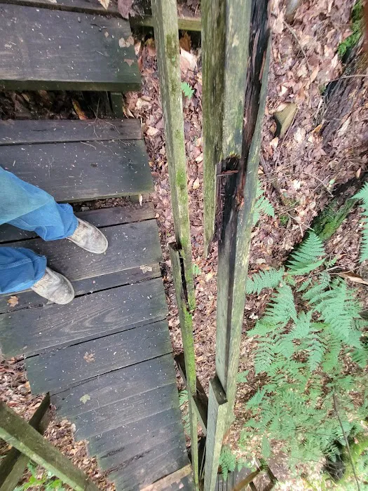 High Falls Park Campground Picture 5