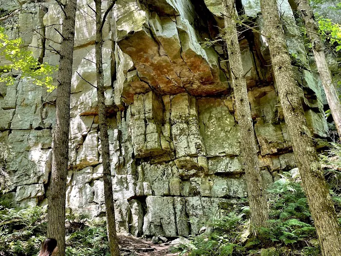 High Falls Park Campground Picture 6