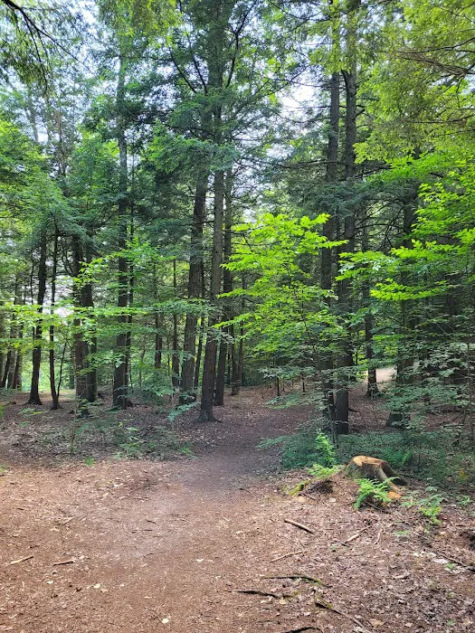 High Falls Park Campground Picture 10