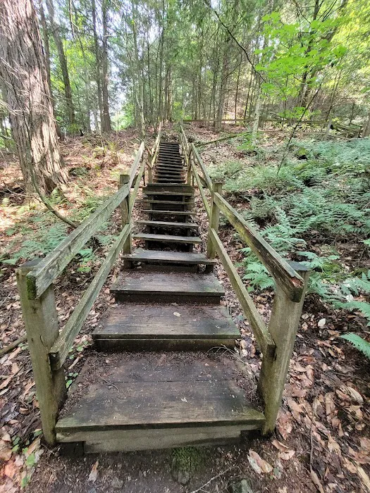 High Falls Park Campground Picture 7