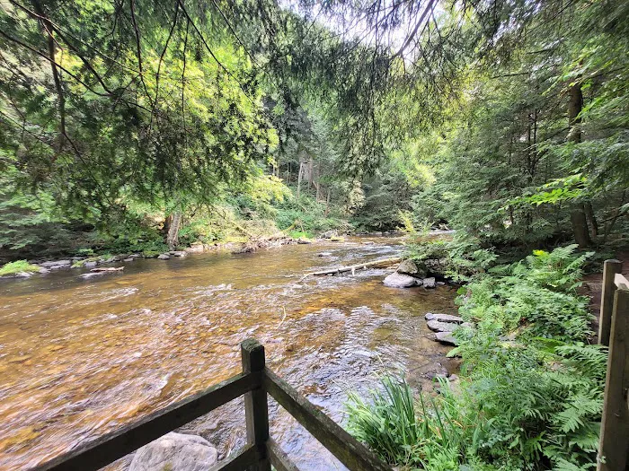 High Falls Park Campground Picture 4