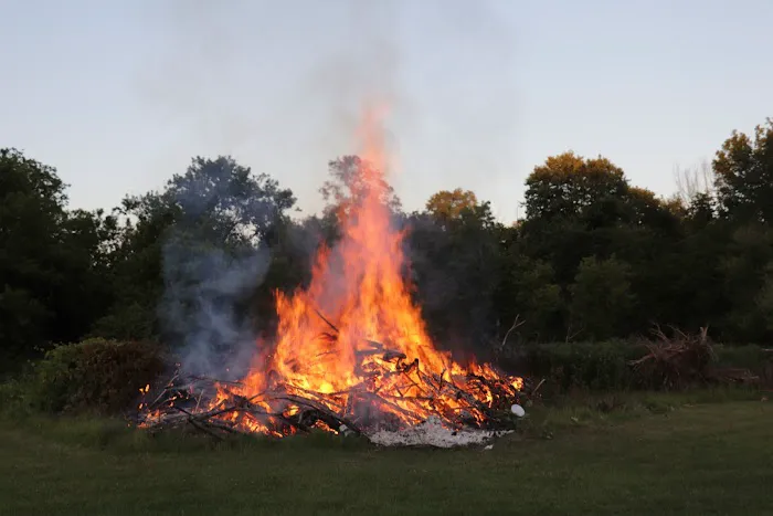 Pine Ridge Park Campsite Picture 9