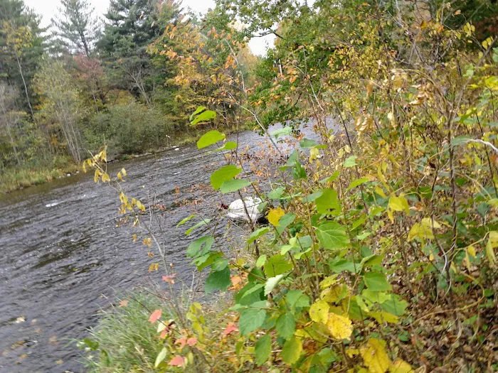 Burke Holiness Camp Picture 2