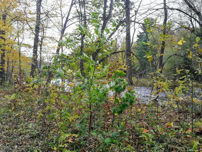 Burke Holiness Camp Picture 5