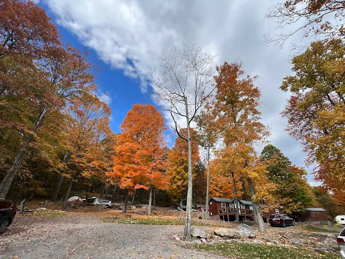 Timber Run Campground Picture 5