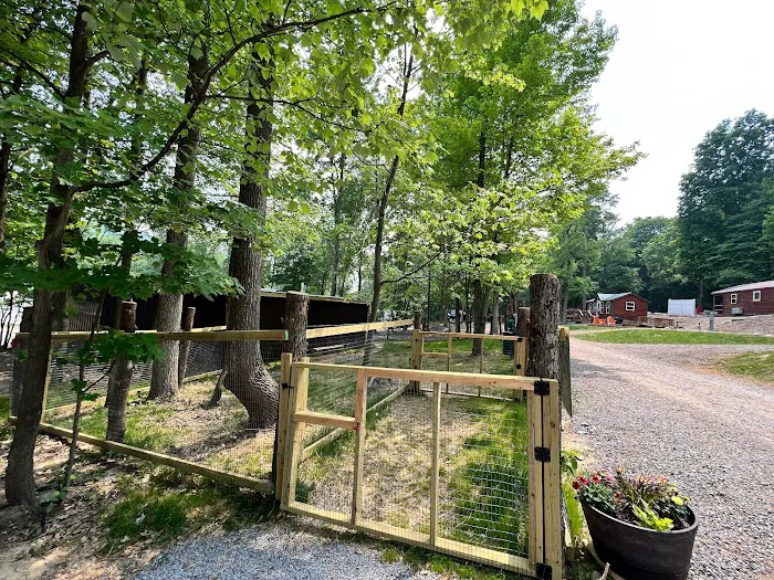 Timber Run Campground Picture 8