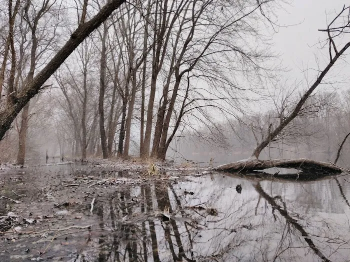 Little Pool Campground Picture 3