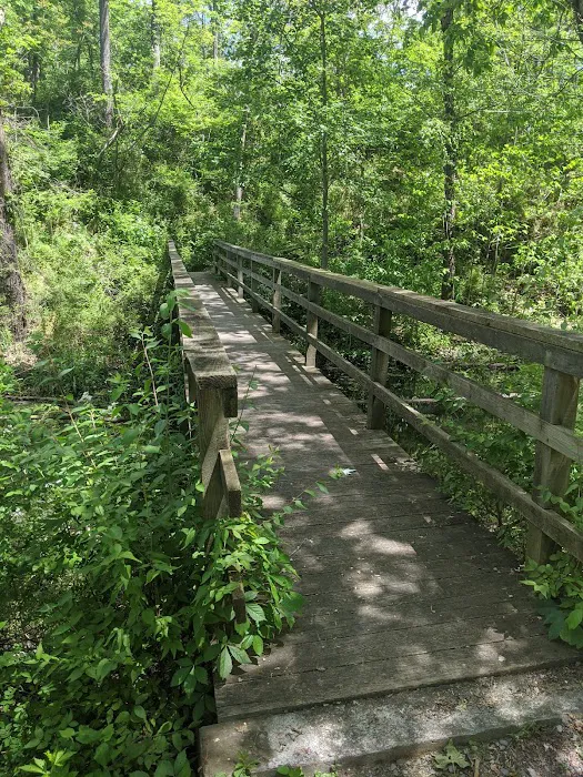 Little Pool Campground Picture 7