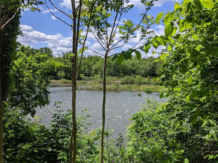 Little Pool Campground Picture 4