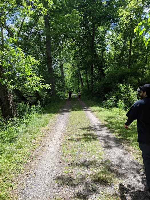 Little Pool Campground Picture 9