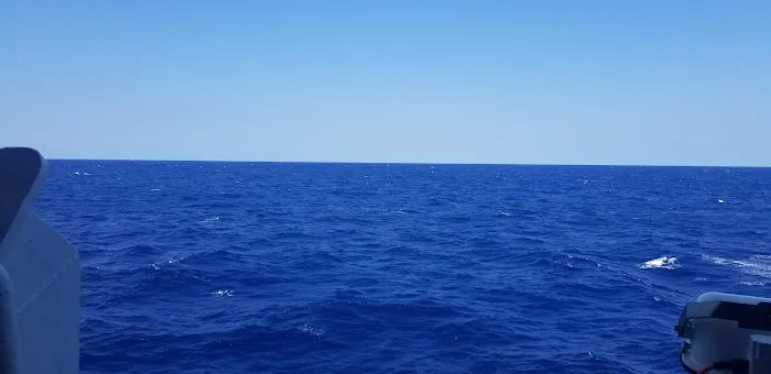 Sleepy Creek On the Potomac Picture 2