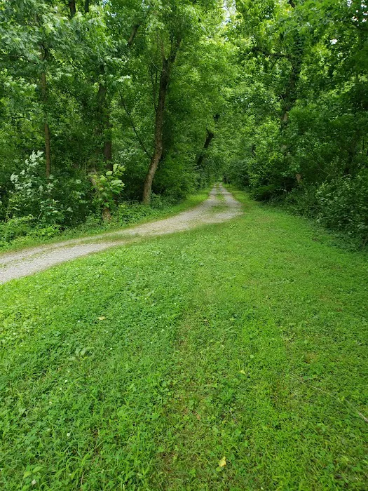 Licking Creek Hiker Biker Campsite Picture 8