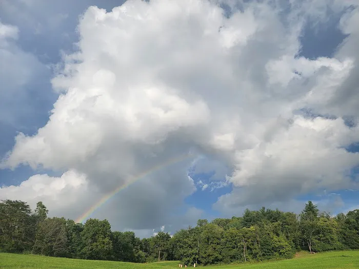 Glamping Clear Spring Maryland 3-Cabin Campground Picture 5