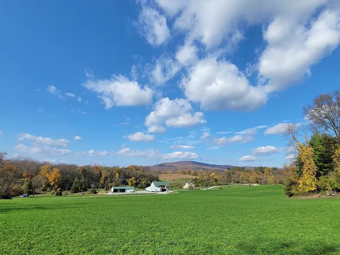 Glamping Clear Spring Maryland 3-Cabin Campground Picture 2